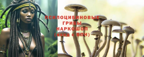 мяу мяу мука Покров