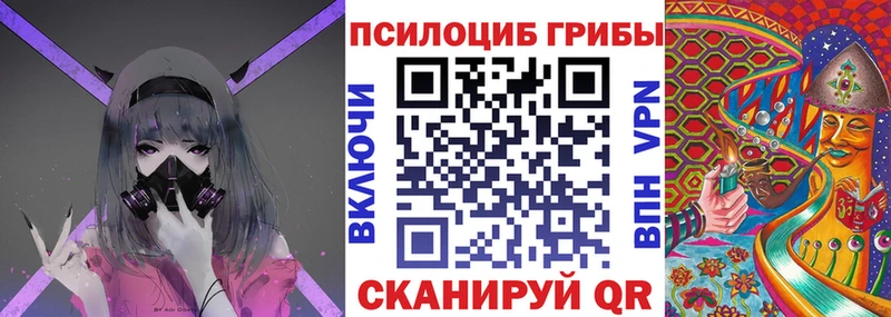 Псилоцибиновые грибы прущие грибы  наркота  Салаир 