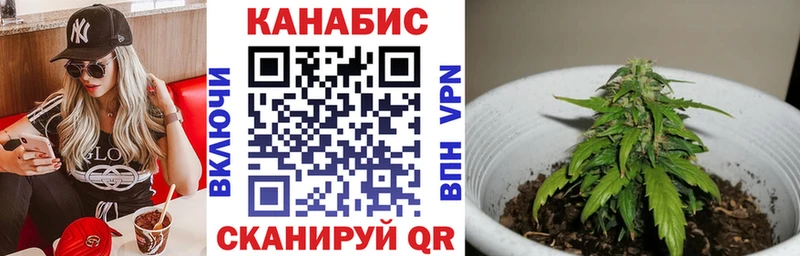Бошки марихуана тримм  Салаир 